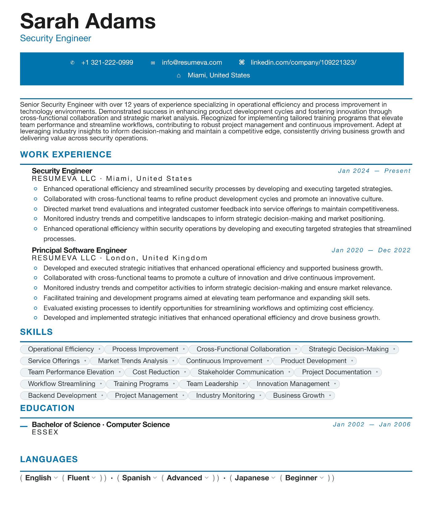 100. Account Manager resume template preview