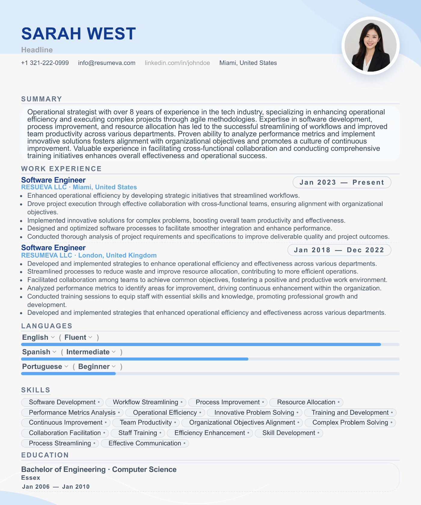 51. Synergy resume template preview