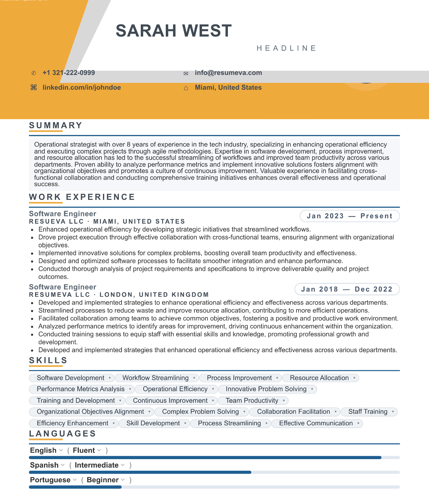 61. Tint resume template preview