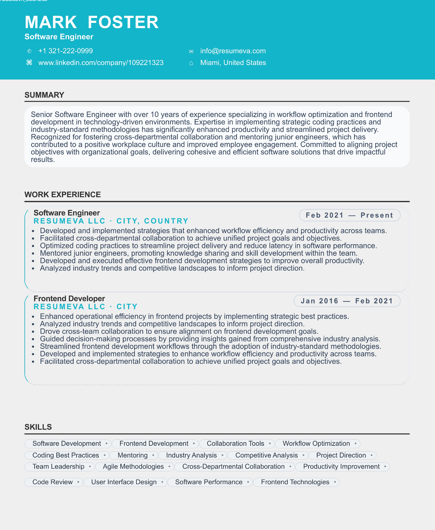 Physician resume template preview