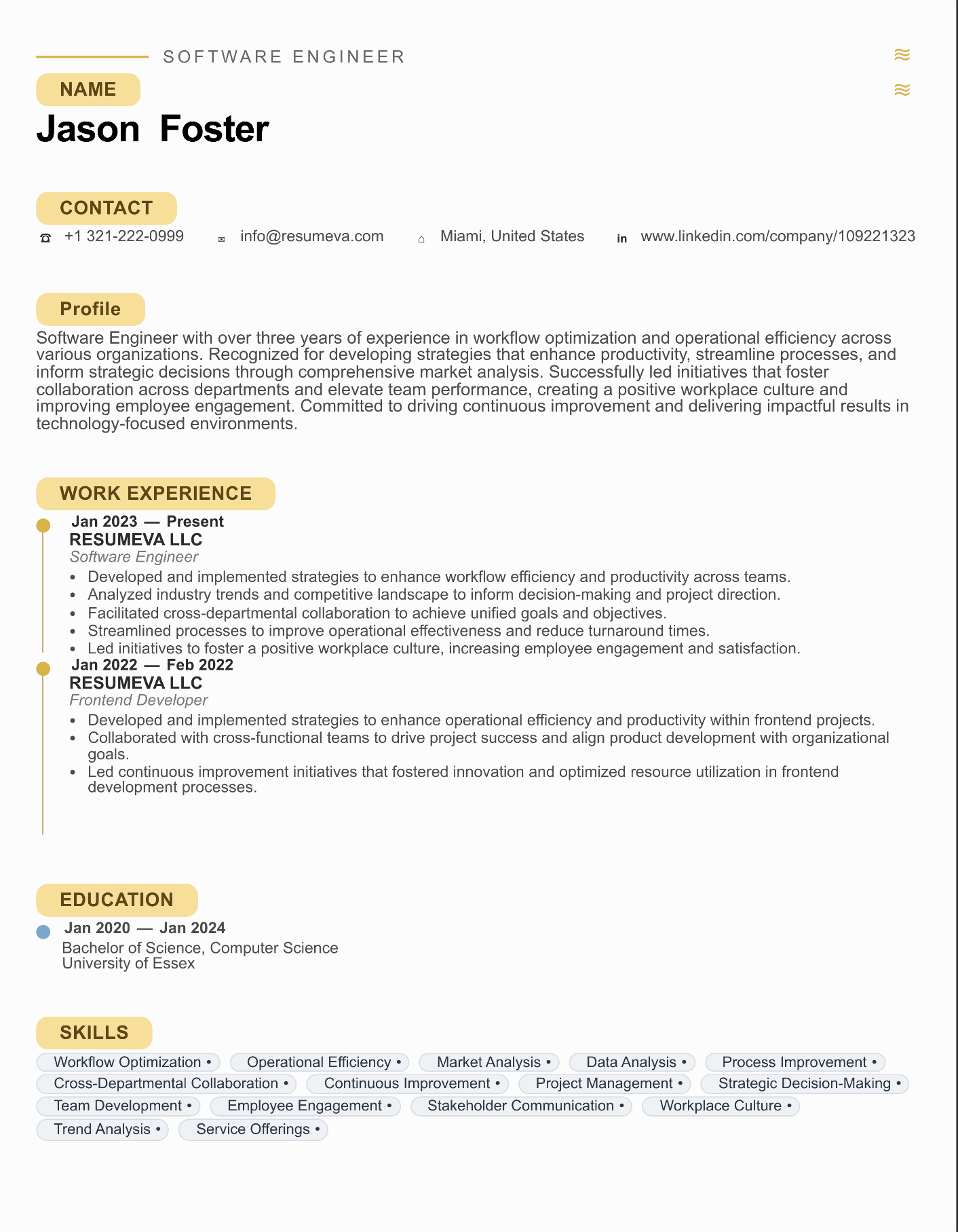 Sales Representative resume template preview