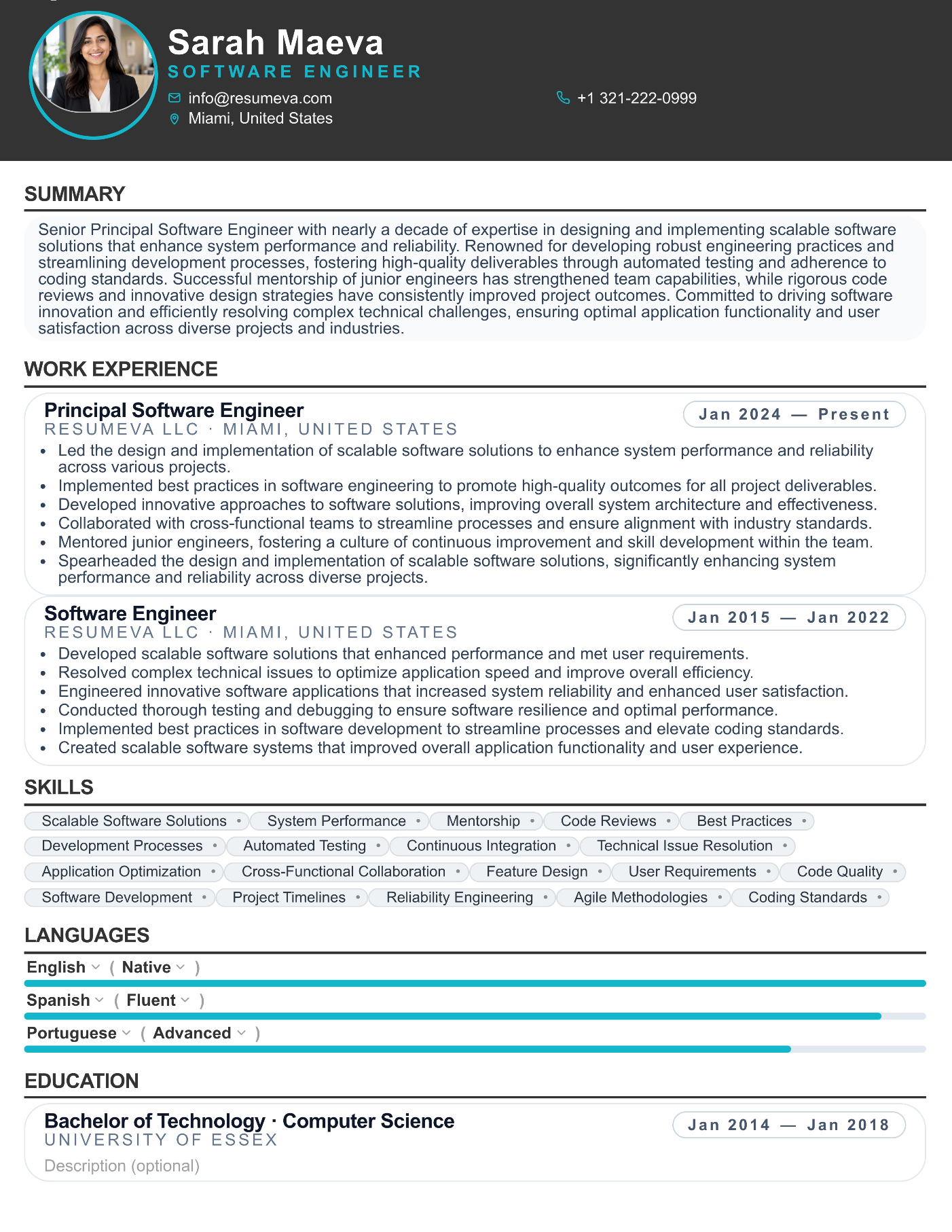 15. SEO Content resume template preview